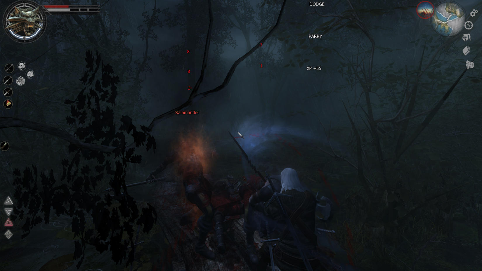 the witcher flash mod
